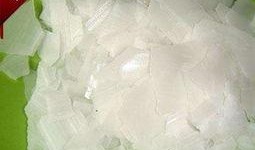 烧碱现货最新爆料,价格波动与供需分析